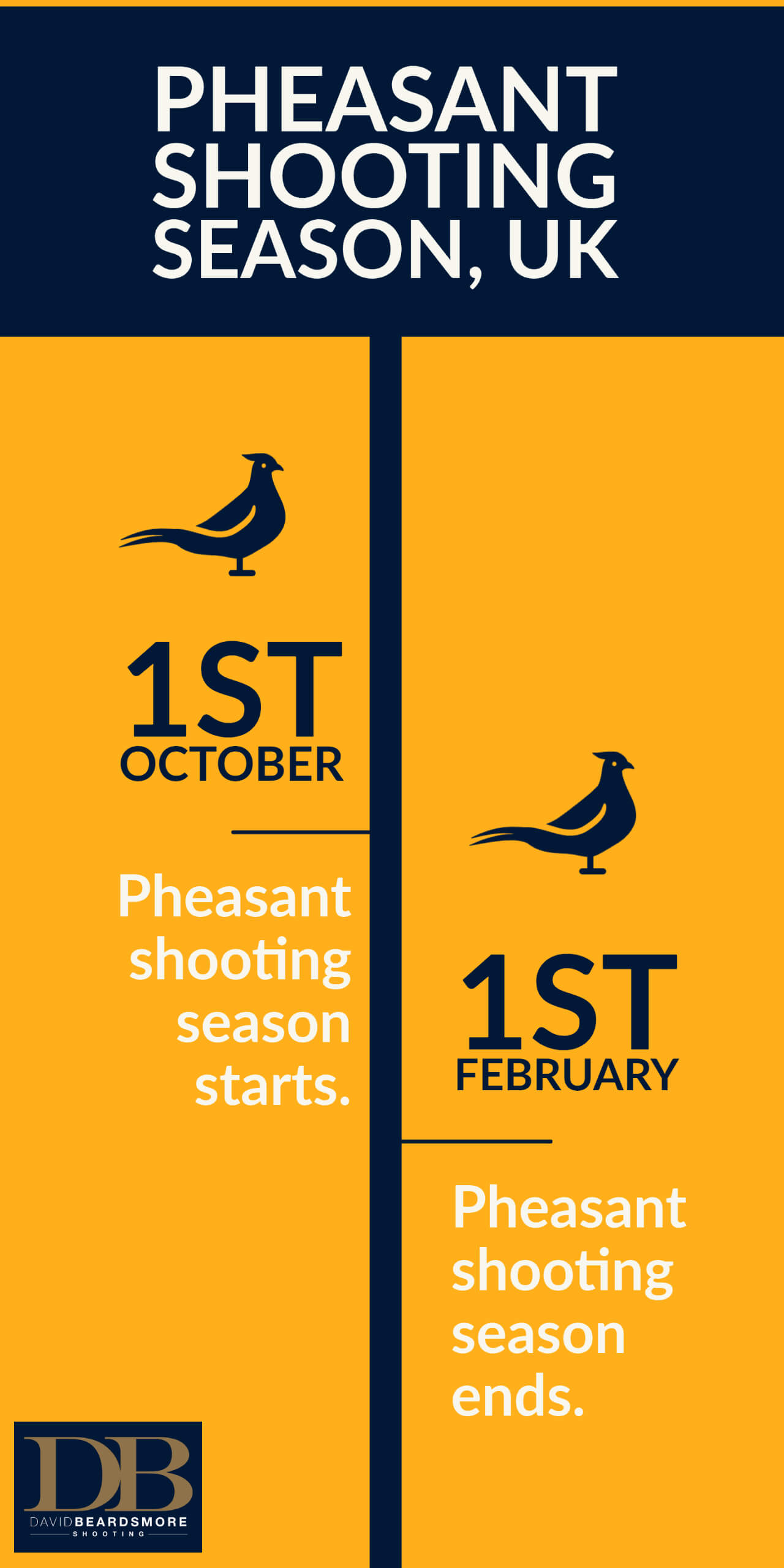 Pheasant Shooting Season UK | When, What and Why | DB
